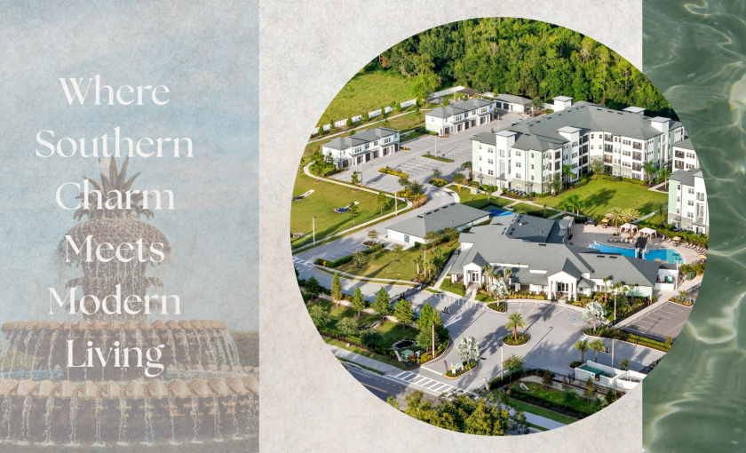 Modern Apartments in Wesley Chapel Modern Apartments in Wesley Chapel